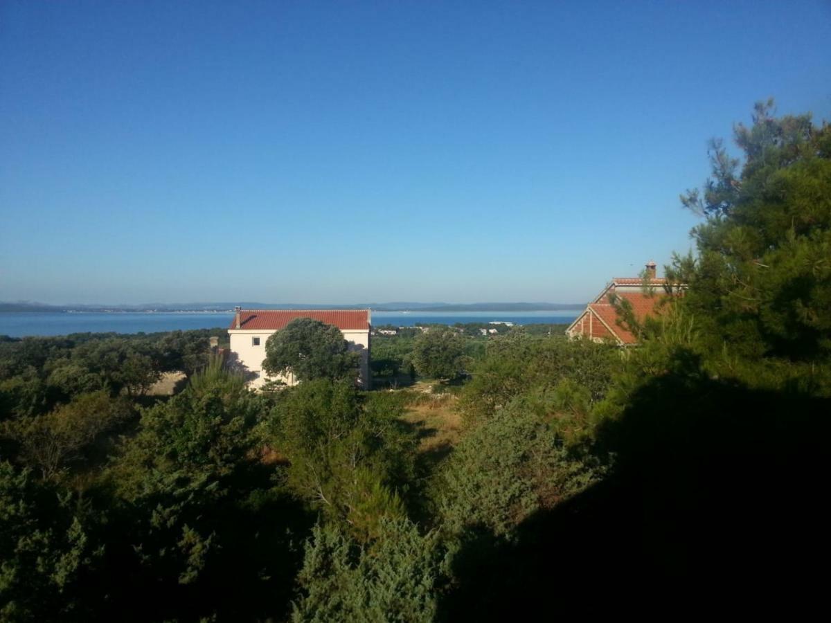 Apartmani Jelena เพทรอซาเน ภายนอก รูปภาพ